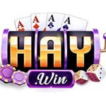 Haywin Profile Picture