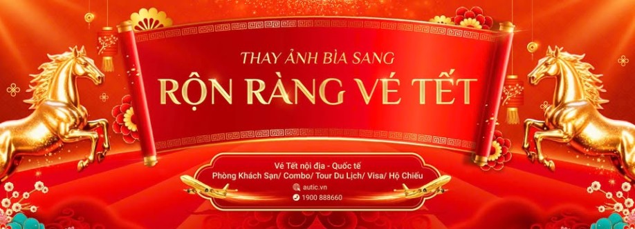 Vé máy bay autic Cover Image