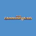 Trangcadobongda bio Profile Picture
