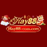 Hay88 CMI Profile Picture