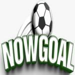 Nowgoal hu net Profile Picture