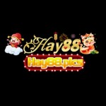 Hay 88 Profile Picture