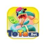 tota bet app Profile Picture