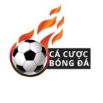 TrangCaCuoc BongDa Profile Picture
