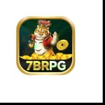 7brpg bet Profile Picture