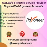 Payoneer Accounts USA Profile Picture