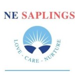 Ne Saplings Profile Picture