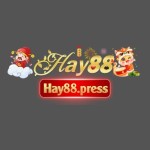 Hay88 DCE Profile Picture
