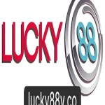 Lucky88 v co Profile Picture