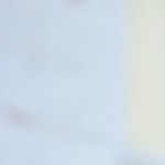 Ruth RJackson Profile Picture