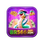 br566 bet profile picture
