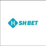 Shbet Shbet Profile Picture