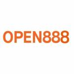 Open888 it com Profile Picture