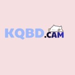 kqbd cam Profile Picture