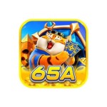 65a bet Profile Picture