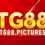 TG88 com Profile Picture