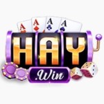 Haywin1 farm Profile Picture