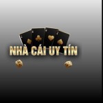 Nhà Cái Uy Tín Profile Picture