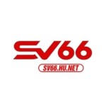 Sv66 hu net Profile Picture