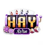 Haywin Profile Picture