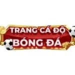 Trang Cá Độ Bóng Đá Profile Picture