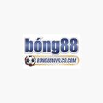 bong88viva co com Profile Picture