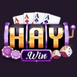 Haywin2 actor Profile Picture