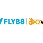 Fly888 it com Profile Picture