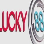Nhà cái Lucky88 Profile Picture