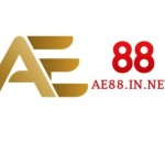 AE88 Profile Picture