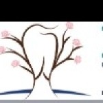 rose wood Profile Picture