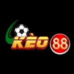 KÈO NHÀ CÁI Profile Picture