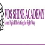 VDS SHINE ACADEMY Profile Picture