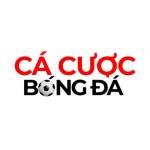 Top Web Cá Cược Bóng Đá An Toàn Bảo Mật Nhất 2026 Profile Picture