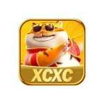 xcxc bet Profile Picture