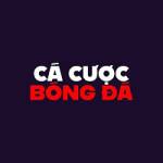 Top10trangcacuocbongda com Profile Picture