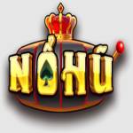 nohuwin tech Profile Picture