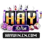 Haywin Cổng Game Bài Profile Picture