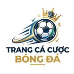 Trang Cá Cược Bóng Đá Profile Picture