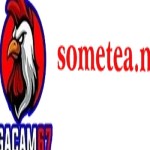 gacam67 sometea Profile Picture
