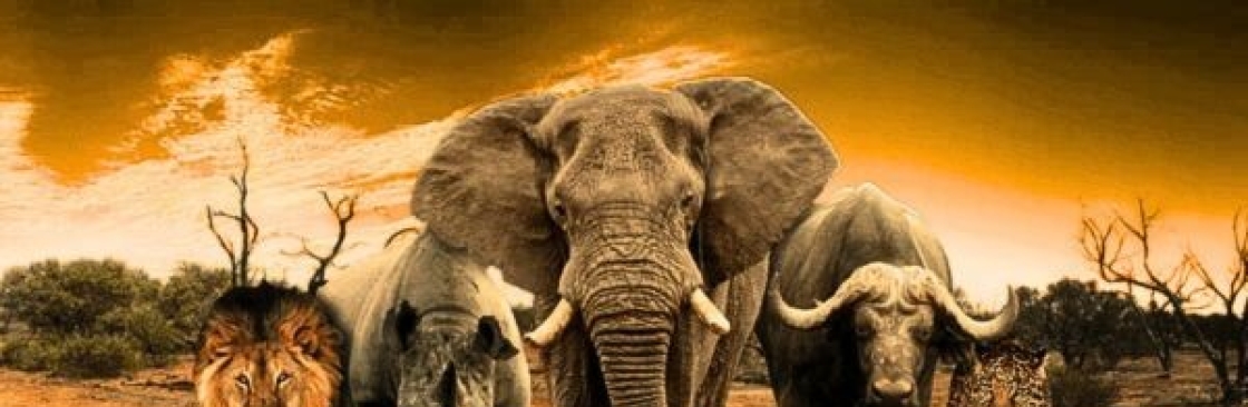 Duma Travels Cover Image