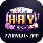 Hay win Profile Picture