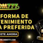 MDM777 MDM777 Profile Picture