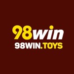 98Win toys Profile Picture