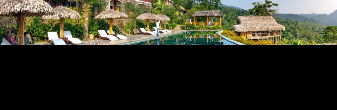Ziventu com Cover Image