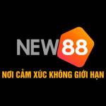 New88 New  88 Profile Picture