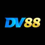 dv88a org Profile Picture
