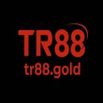 TR88 Profile Picture