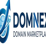 Domnex Domnex Profile Picture