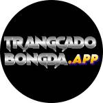 Trang Cá Cược Bóng Đá Profile Picture